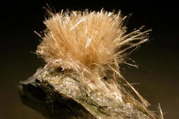 1677120379770075.jpg 石棉2.jpg