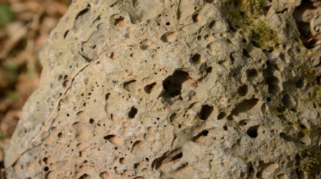 1690957326483699.jpg 玄武巖(464.260).jpg